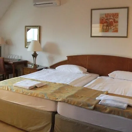 Hotel Rittinger Bonyhad